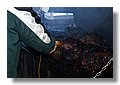 pig_roast1.jpg
