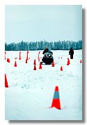 IMG_11338.jpg