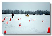 IMG_1201.jpg