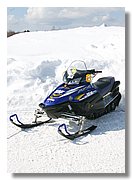 IMG_0629.jpg