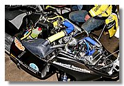 IMG_2993.jpg