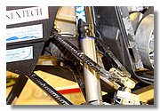 IMG_3333.jpg