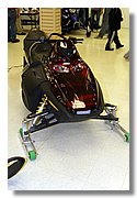 IMG_3390.jpg