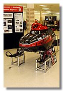 IMG_3399.jpg