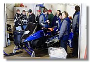 IMG_7223.jpg