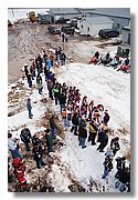 IMG_7528.jpg