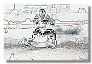 IMG_Z1849CD.jpg