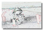 IMG_Z9873CD.jpg