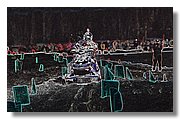 IMG_Z9904S.jpg