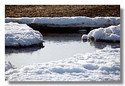 IMG_9154E.jpg