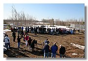 IMG_7925.JPG