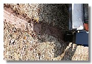 IMG_8806.JPG