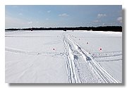 IMG_5291.JPG