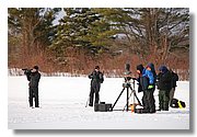 IMG_7533.JPG