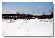 IMG_7562.JPG