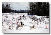 IMG_7570.JPG