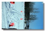 IMG_7630.JPG