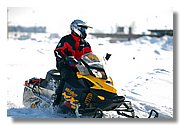 IMG_7294.jpg