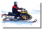 IMG_7295.jpg