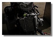 IMG_3316.JPG