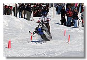 IMG_51231.jpg
