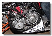 IMG_0983_RIT.JPG