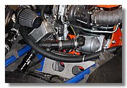 11-Buffalo-IMG_2229.JPG