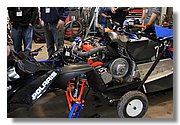 11-Buffalo-IMG_9764.JPG