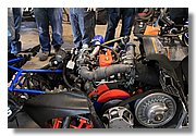 11-Buffalo-IMG_9766.JPG