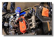 11-Buffalo-IMG_9768.JPG
