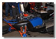 11-Buffalo-IMG_9776.JPG