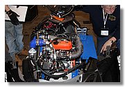 11-Buffalo-IMG_9777.JPG