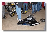 11-Buffalo-IMG_9779.JPG