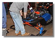 11-Buffalo-IMG_9780.JPG