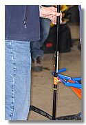IMG_2231.JPG