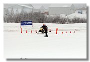 IMG_1244_Accel.JPG