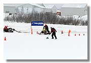 IMG_1309_Accel.JPG