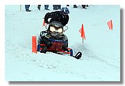 IMG_1555_Handling.JPG