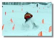 IMG_1581_Handling.JPG