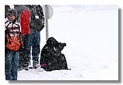 IMG_1626_Handling.JPG