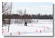 IMG_0799_Subj_Handle.JPG