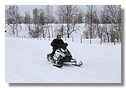 DN_IMG_0277.JPG