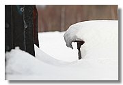 DN_IMG_0553.JPG