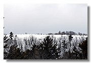 IMG_0229_Endurance.JPG