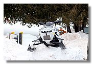 IMG_0243_Endurance.JPG