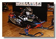 IMG_0666_Buffalo_IC.JPG