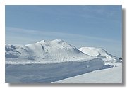 Friday-IMG_4734.JPG