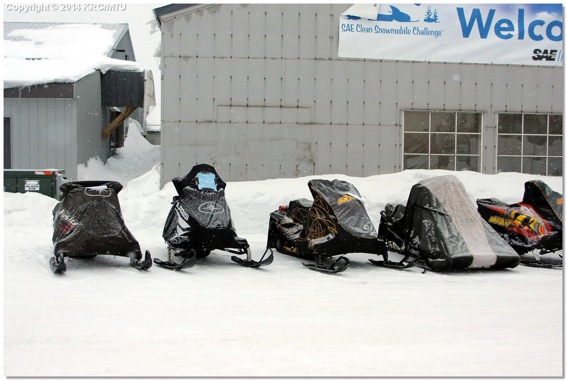 Cold-IMG_2444.JPG