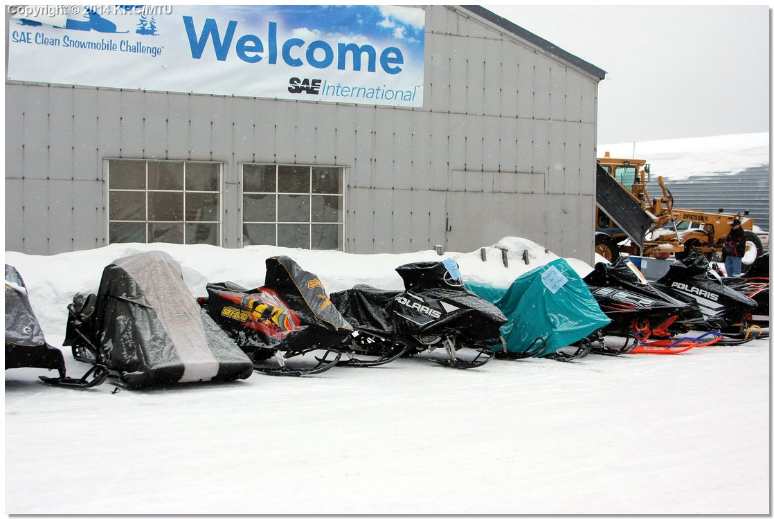 Cold-IMG_2445.JPG