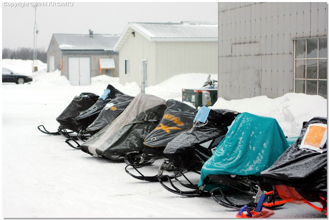 Cold-IMG_2448.JPG